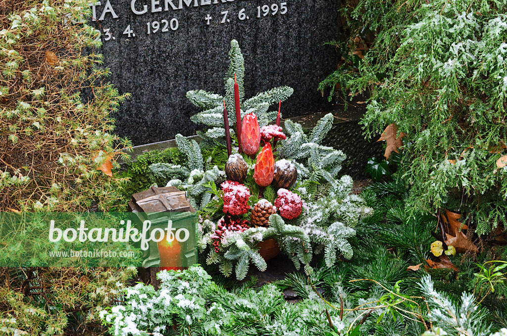 466076 - Grave decoration with fir branches, dried flowers and dyed plant parts 466076 - Grave decoration with fir branches, dried flowers and dyed plant parts