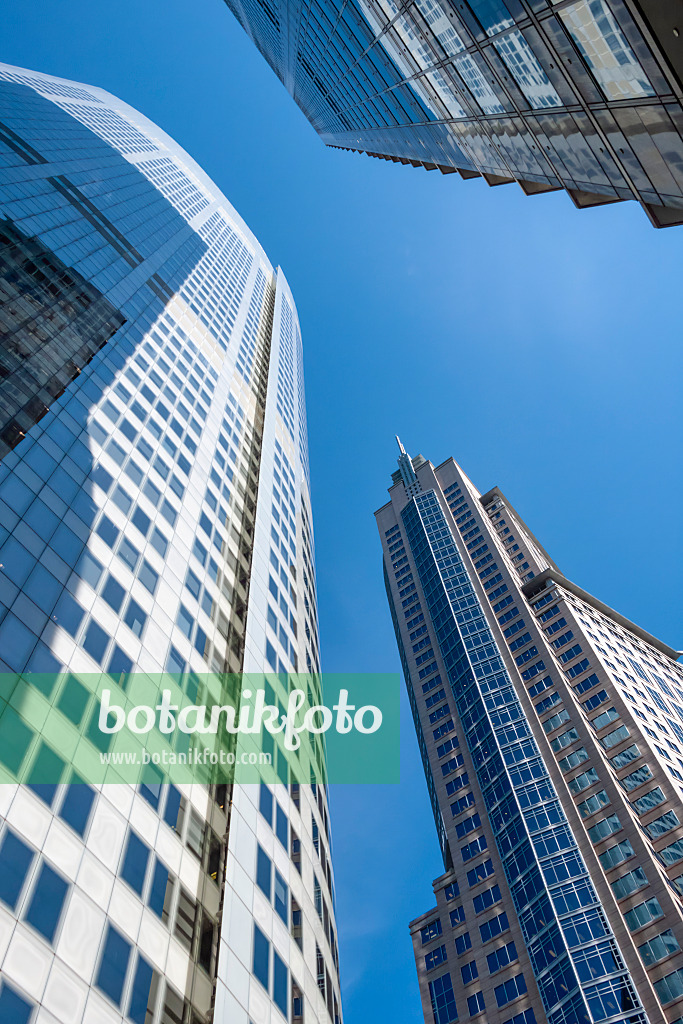 454209 - High-rise buildings on Chifley Square, Sydney, Australia