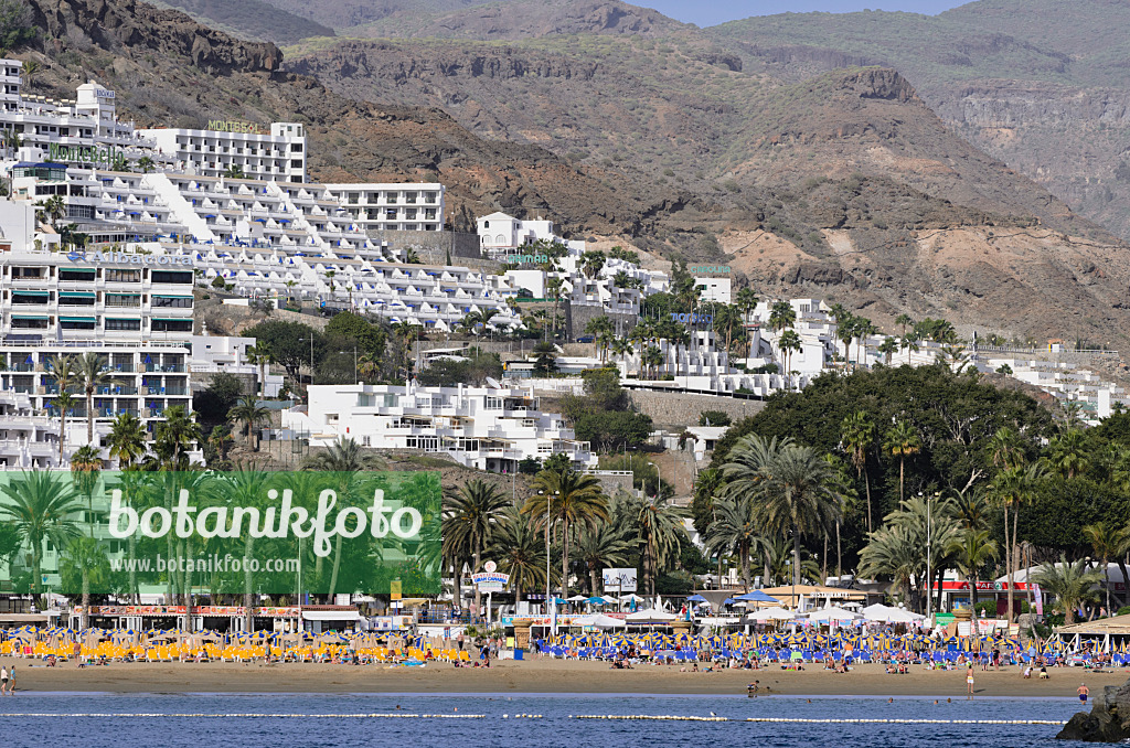 564105 - Hillside with hotels and holiday villages, Puerto Rico, Gran Canaria, Spain