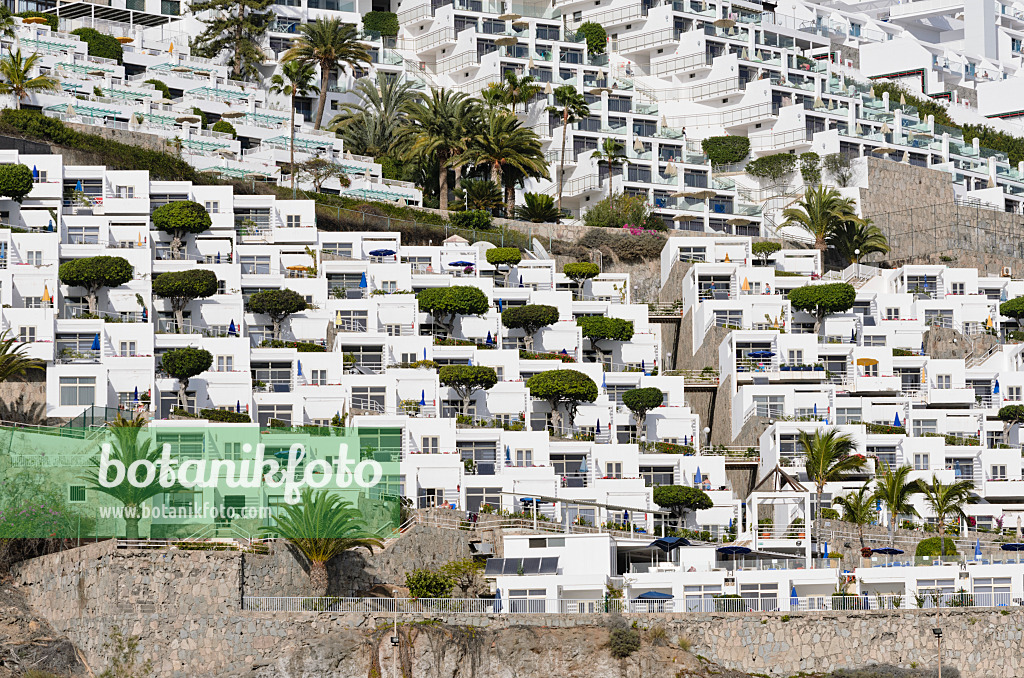 564106 - Hillside with hotels and holiday villages, Puerto Rico, Gran Canaria, Spain