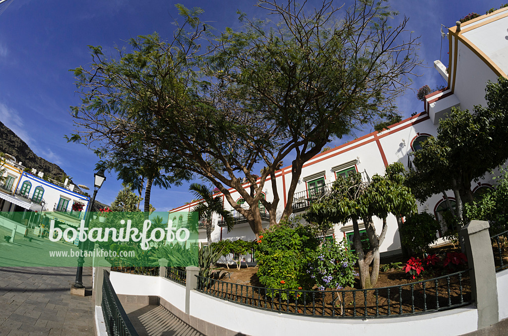 564116 - Holiday village, Puerto de Mogán, Gran Canaria, Spain