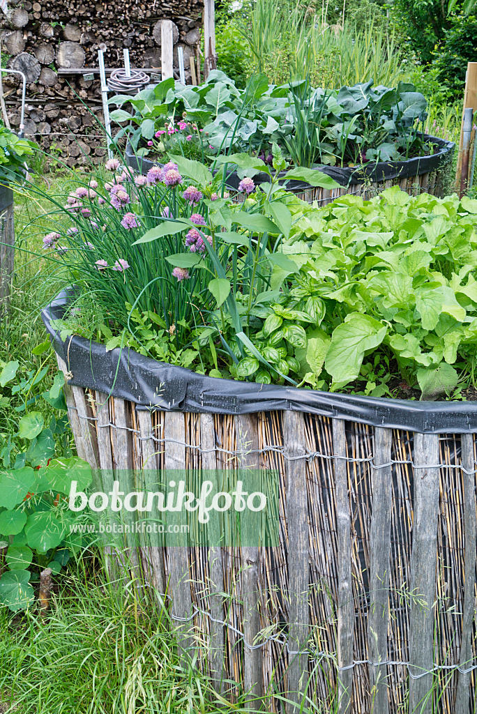 557053 - Home-made raised bed in a natural garden