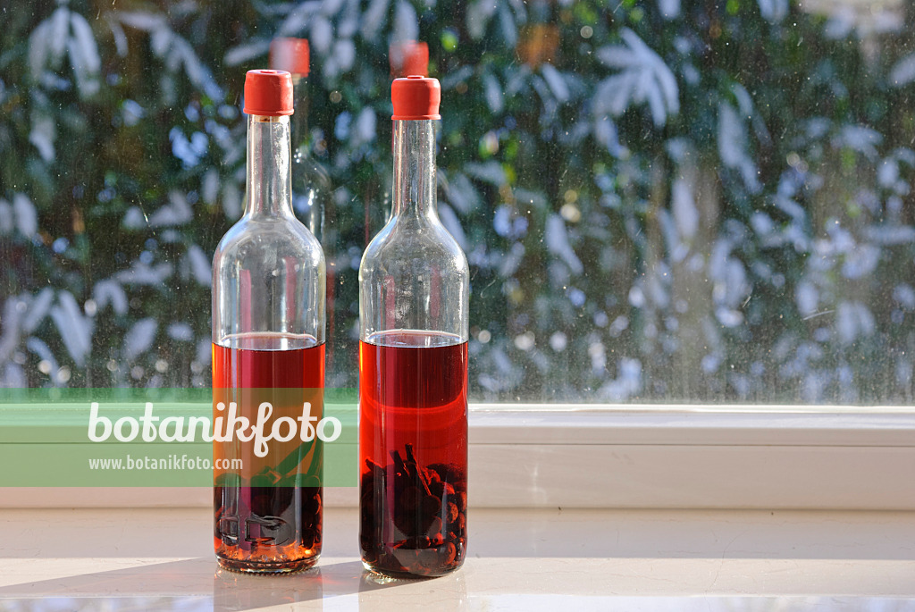 518066 - Homemade sloe liqueur