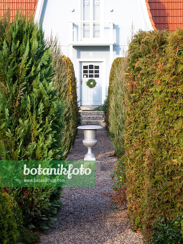 479038 - House entrance with coniferous trees