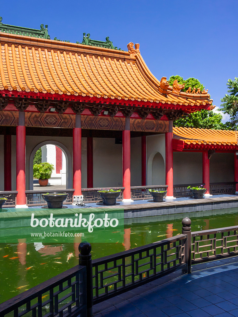 411039 - Koi pond, Chinese Garden, Singapore