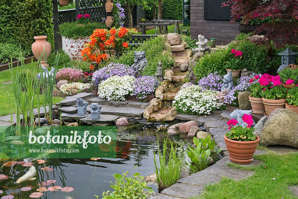 532021 - Koi pond with rhododendrons (Rhododendron), garden phlox (Phlox paniculata) and pelargoniums (Pelargonium)