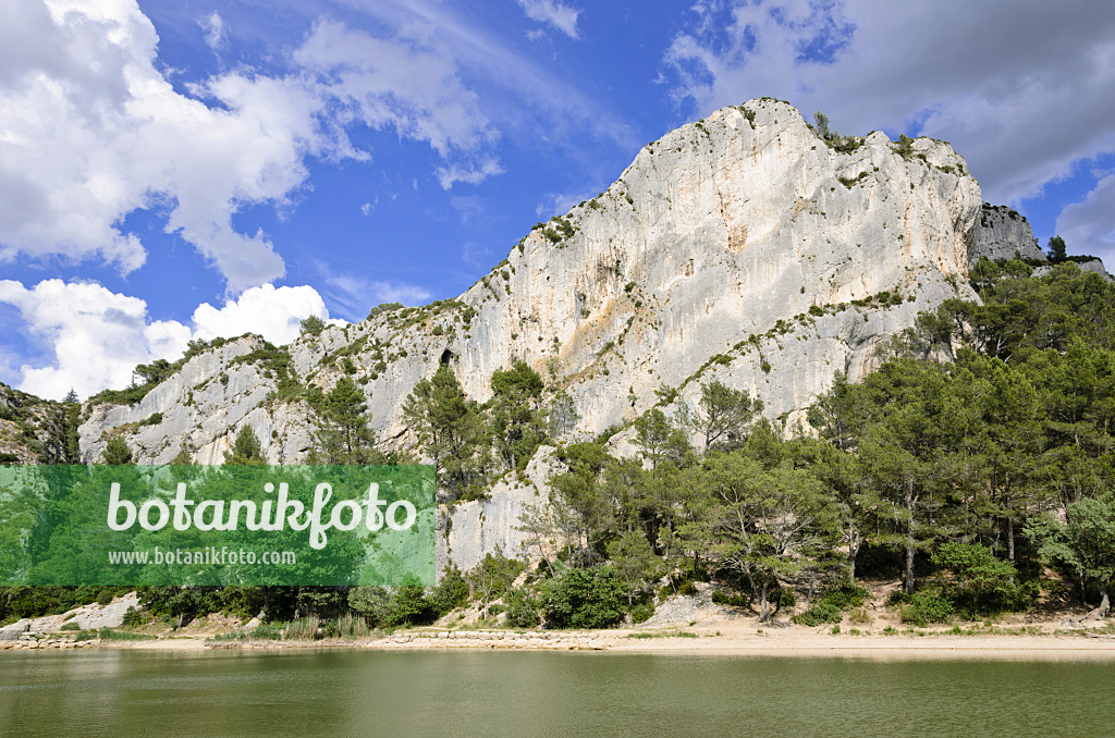 557121 - Lac de Peiroou, Alpilles, Provence, France