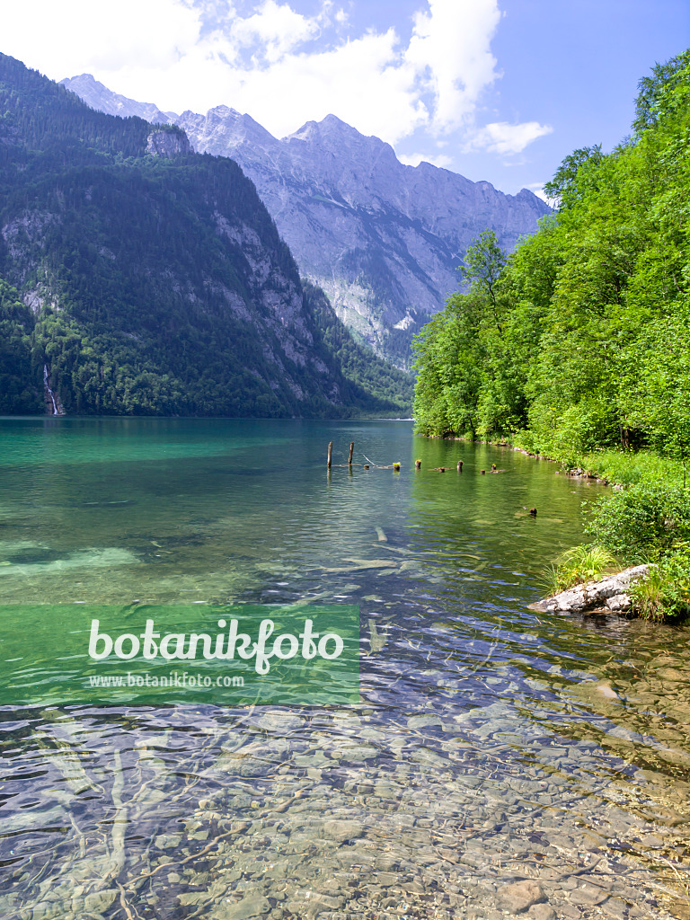 439149 - Lake Königssee, Berchtesgaden National Park, Germany