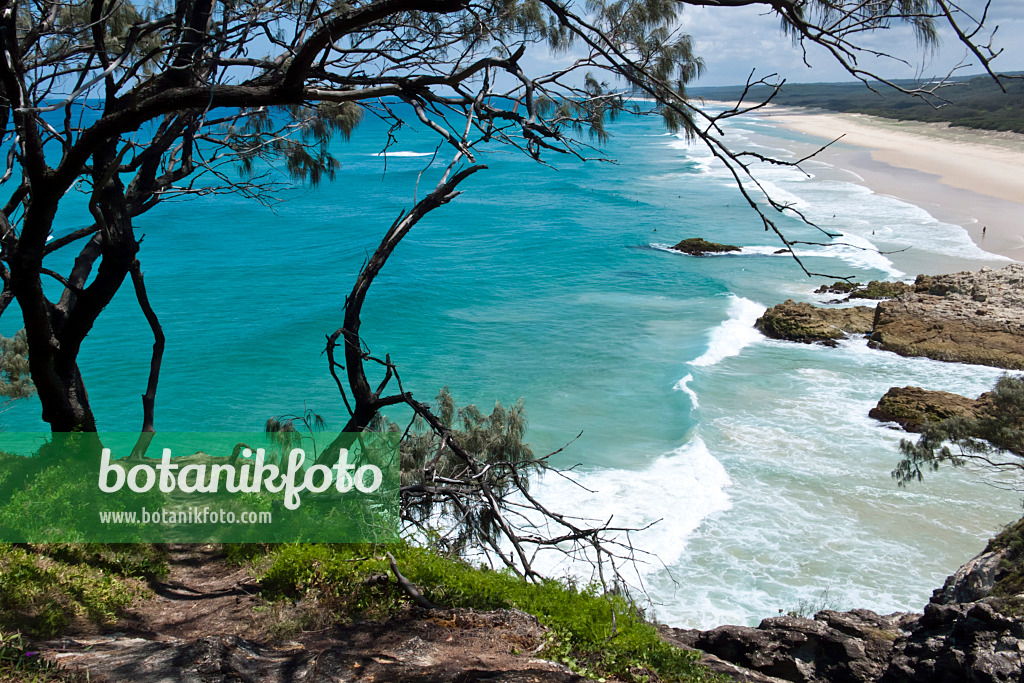 455085 - Main Beach, Point Lookout, North Stradbroke Island, Australia