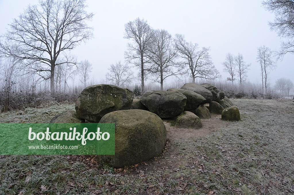 563022 - Megalithic tomb, Diever, Netherlands