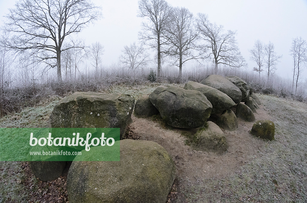 563023 - Megalithic tomb, Diever, Netherlands