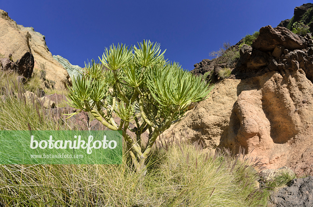 564083 - Mountain landscape, Gran Canaria, Spain