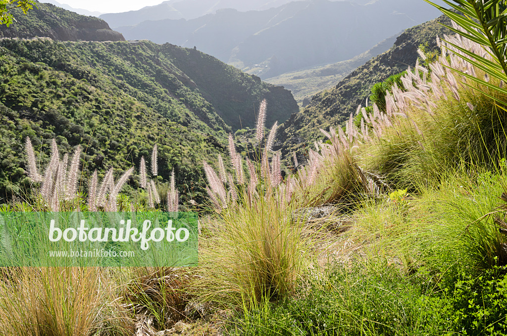 564086 - Mountain landscape, Gran Canaria, Spain