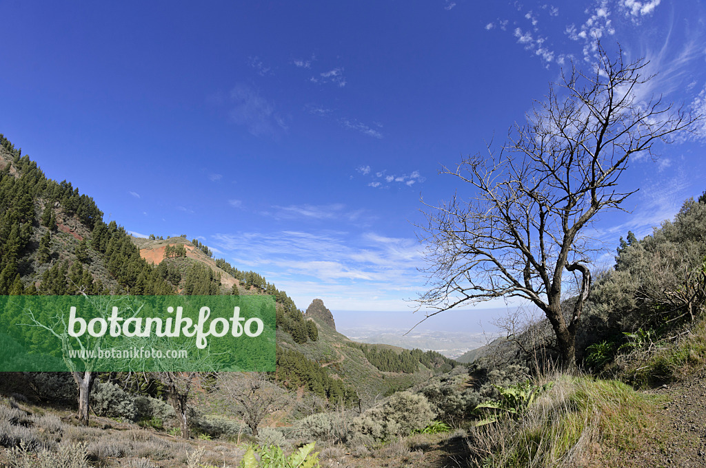 564176 - Mountain landscape, Gran Canaria, Spain