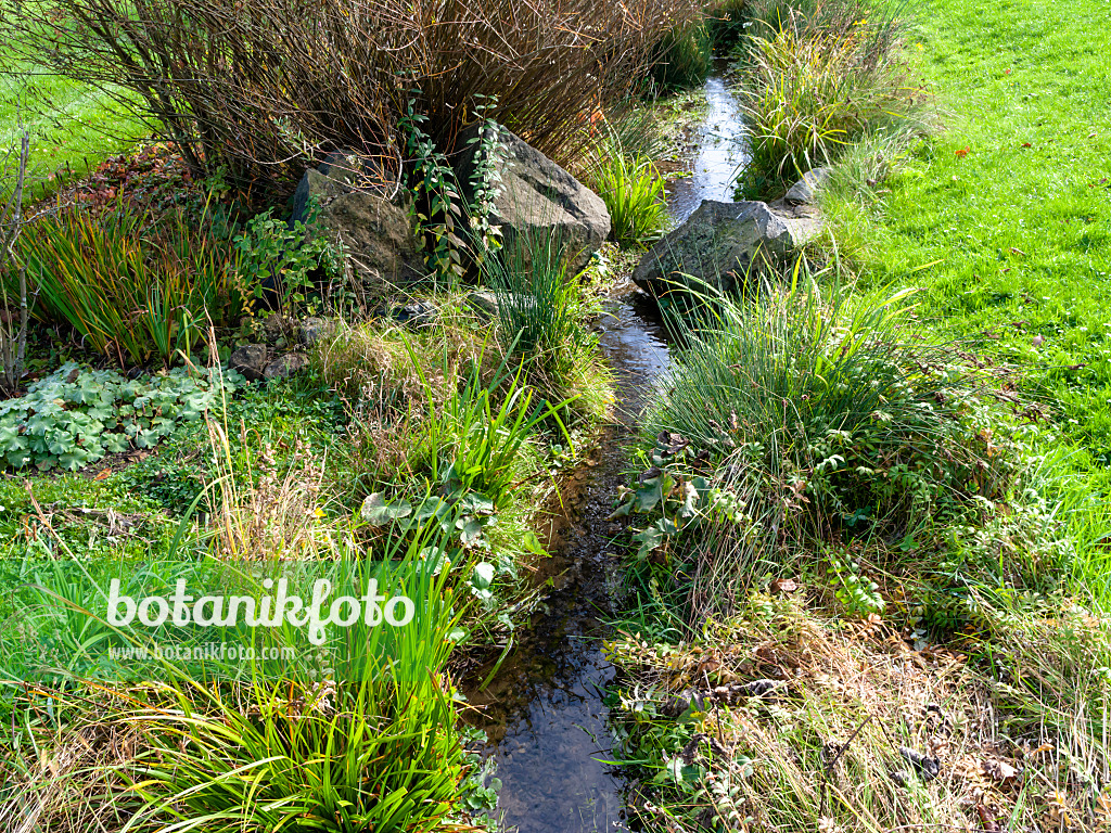 465168 - Near-natural brook in a garden