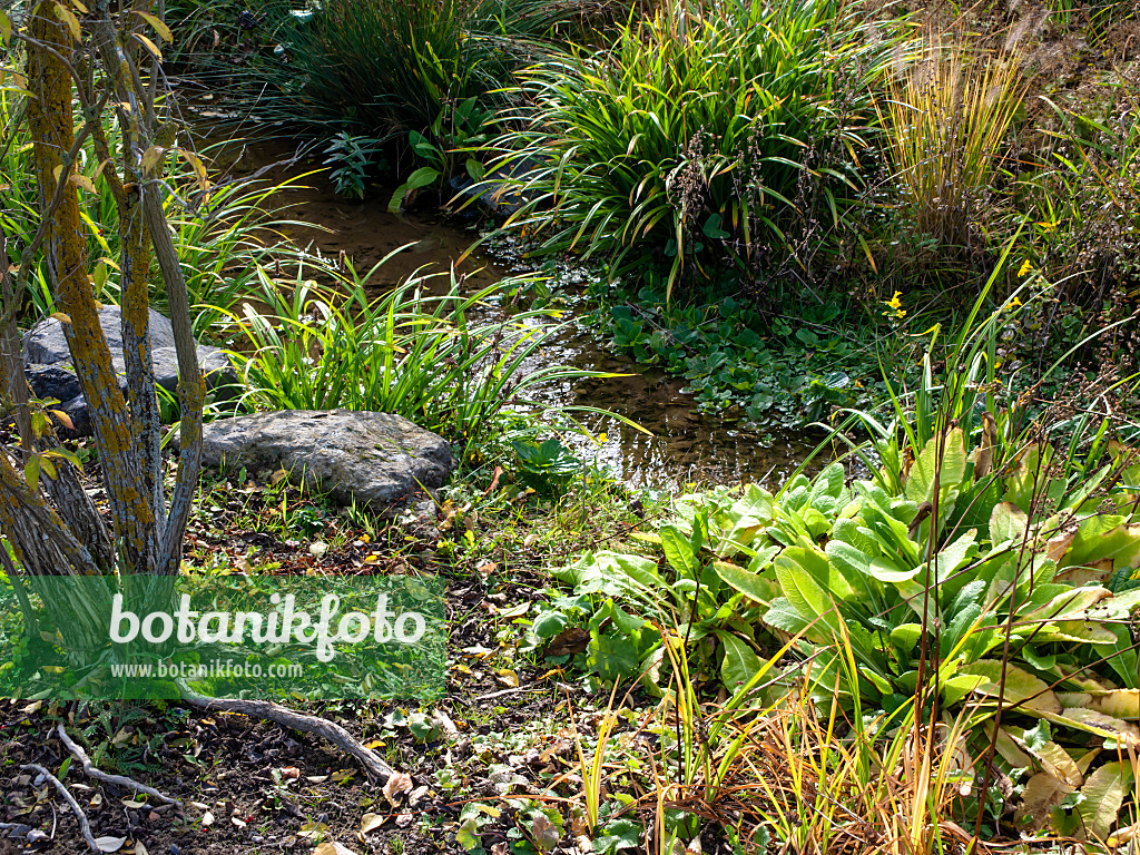 465170 - Near-natural brook in a garden