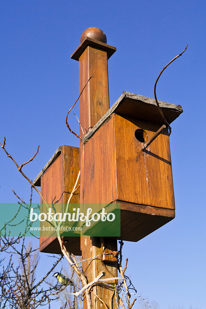 541005 - Nesting boxes on a high wooden pole in front of a blue sky