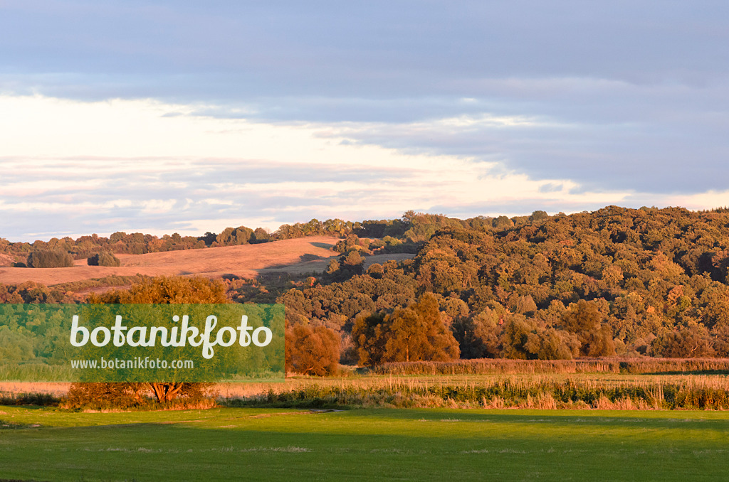 524213 - Oder hills int the evening, Lower Oder Valley National Park, Germany