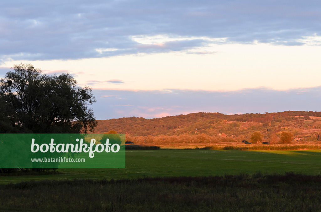 524214 - Oder hills int the evening, Lower Oder Valley National Park, Germany