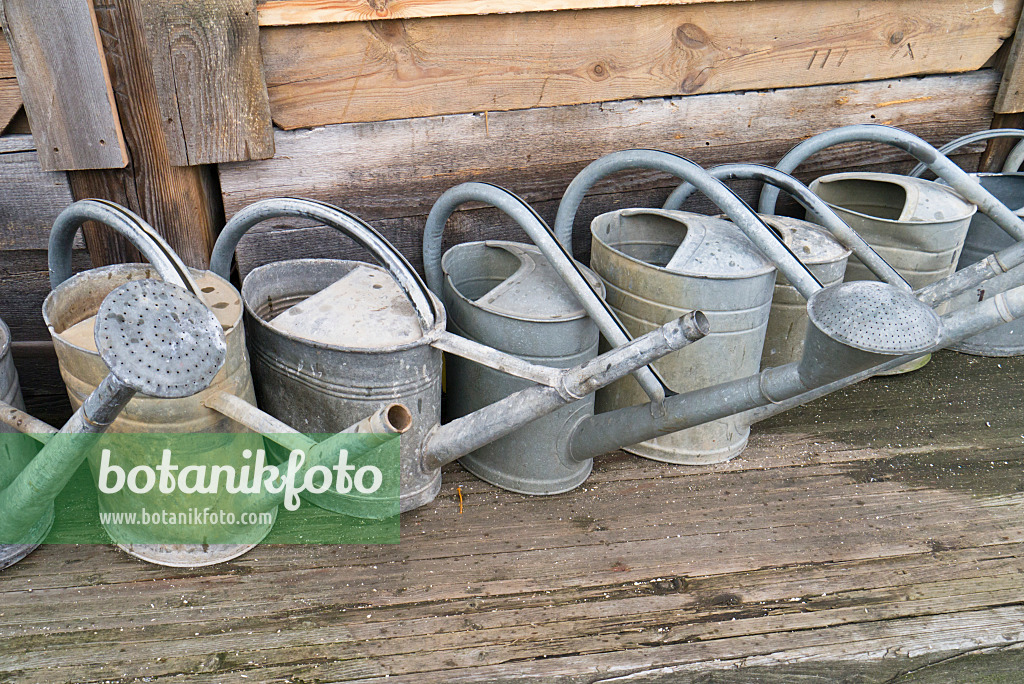 528003 - Old metal watering cans on an old wooden rack