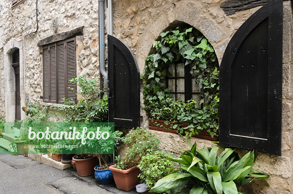 569080 - Old town house with flower pots, Vence, France