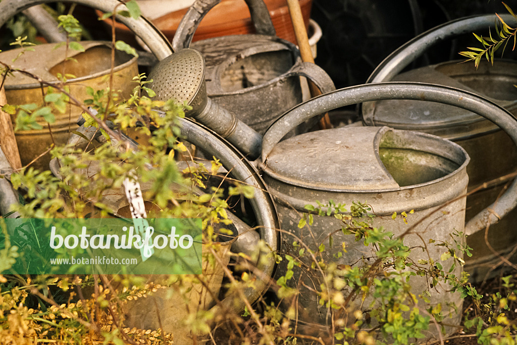 436137 - Old watering cans made of sheet metal