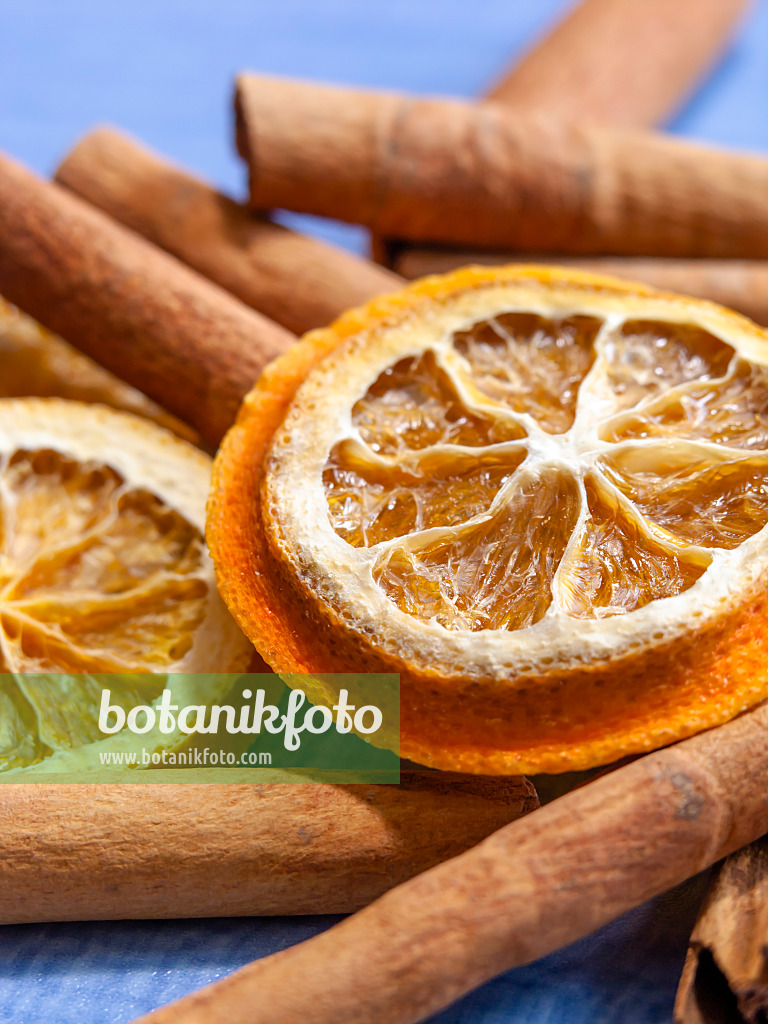 444075 - Orange (Citrus sinensis) and Chinese cinnamom (Cinnamomum aromaticum)