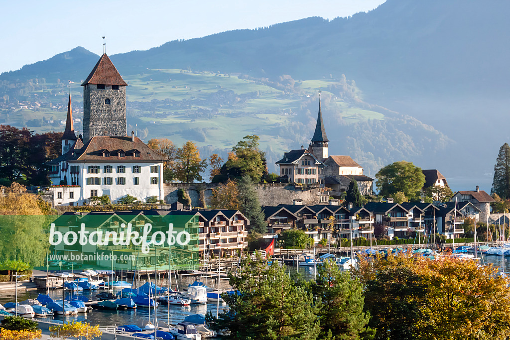 453187 - Palace and Marina, Spiez, Switzerland