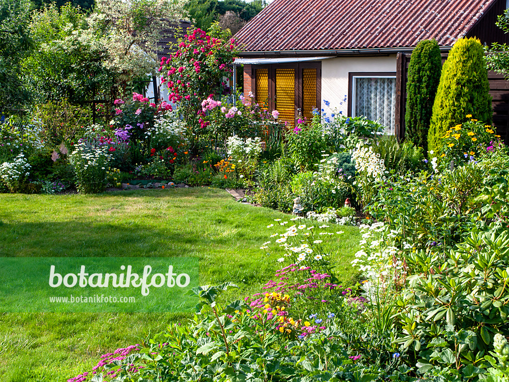 461082 - Perennial bed in an allotment garden