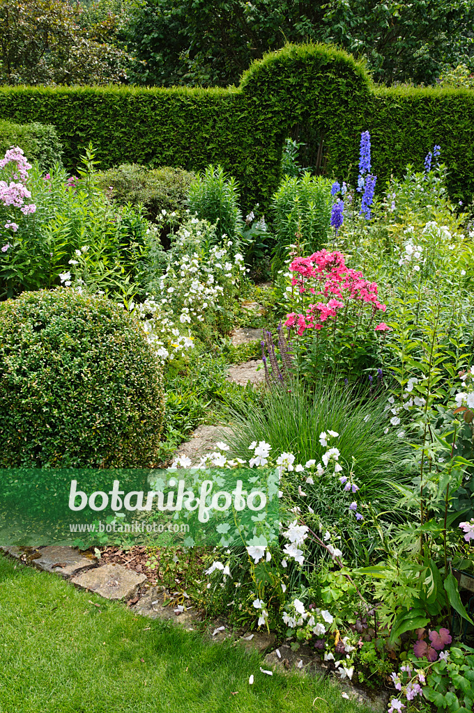 474081 - Perennial bed with shaped hedge