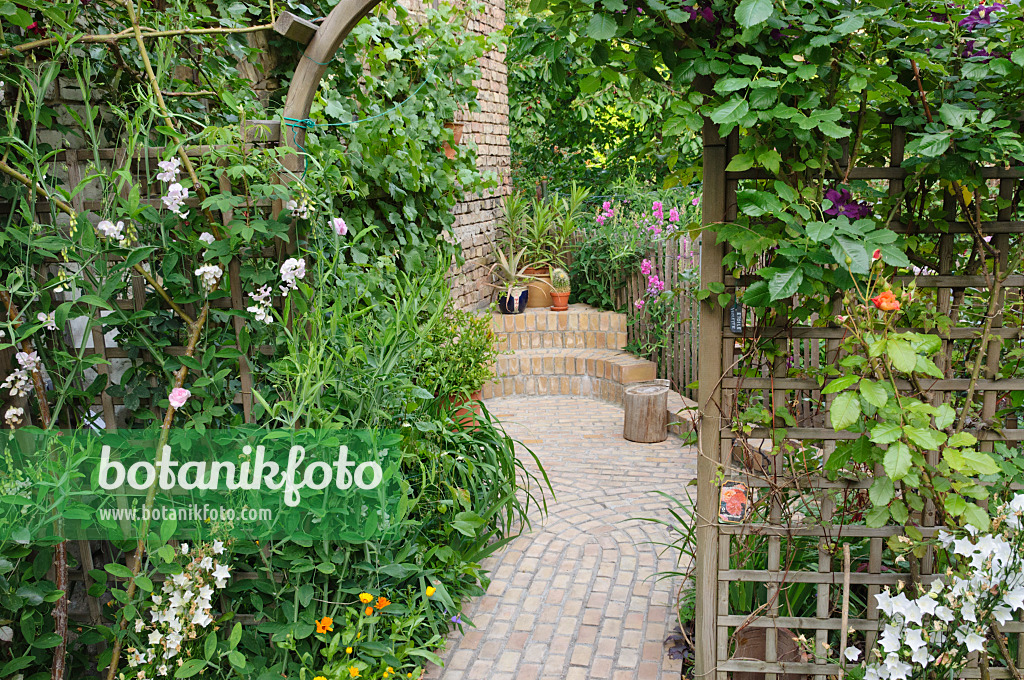 473272 - Perennial bed with trellis in a backyard garden