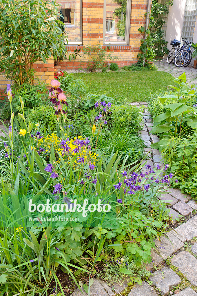 472212 - Perennial beds in a backyard garden