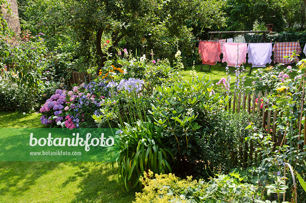 474357 - Perennial beds and washing line in a backyard garden