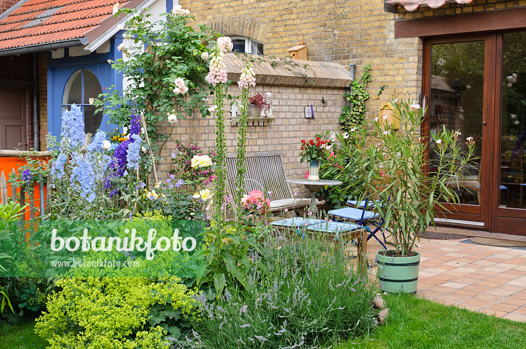 473262 - Perennial border and terrace in a backyard garden