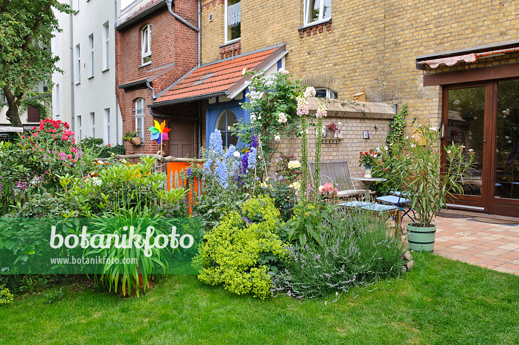 473263 - Perennial border and terrace in a backyard garden