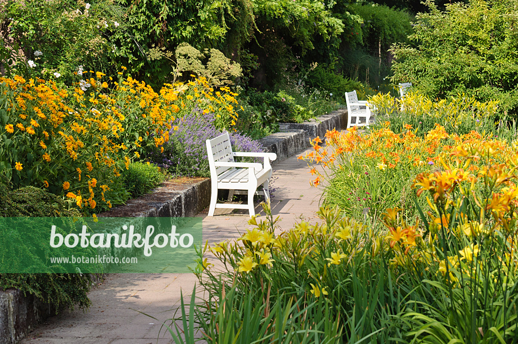 486125 - Perennial garden, Freundschaftsinsel, Potsdam, Germany