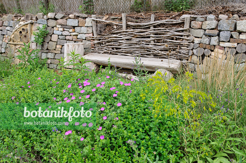 472419 - Perennial garden with dry stone wall