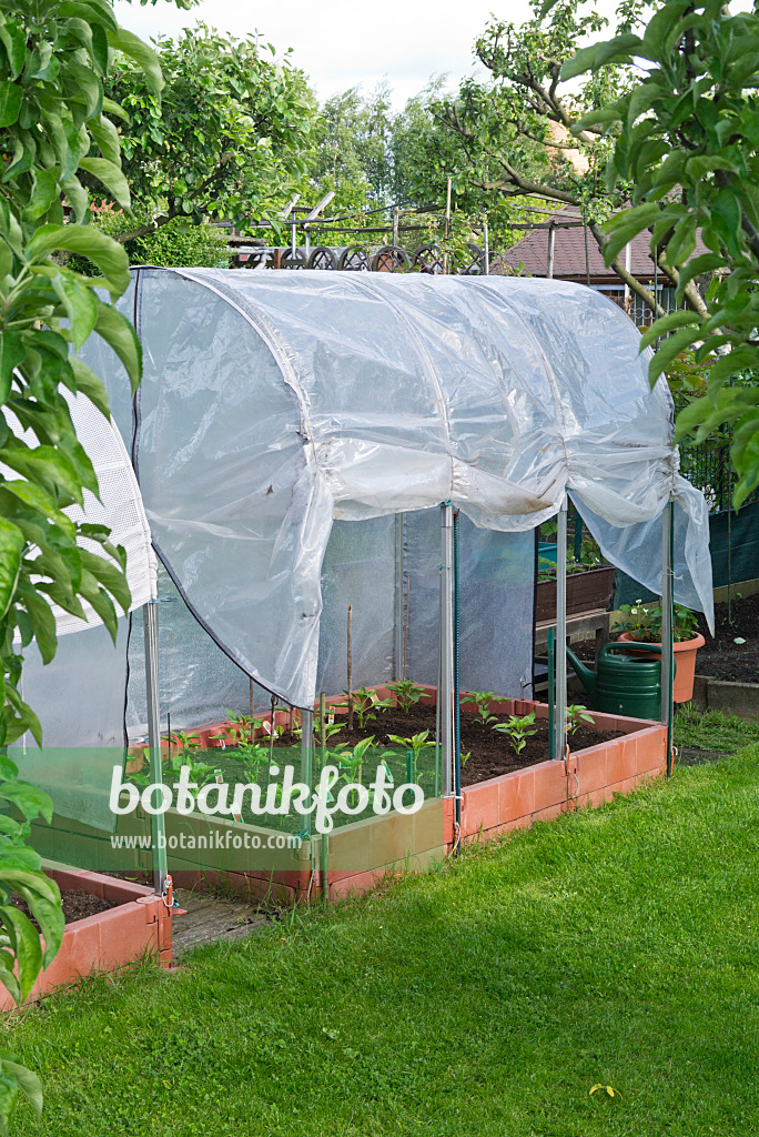 532025 - Poly greenhouse