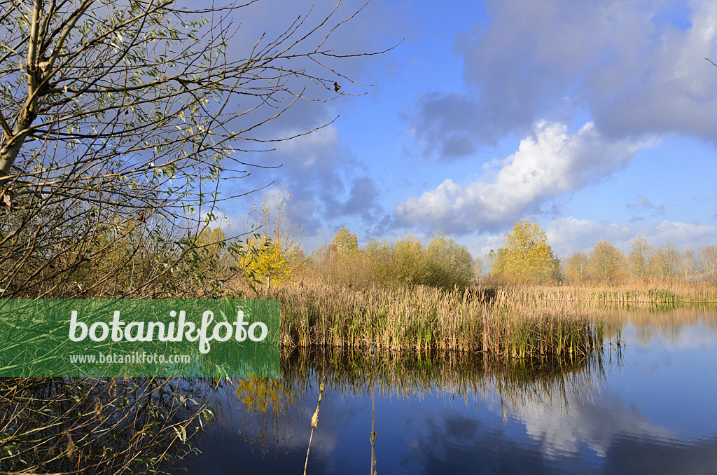 526033 - Pond on a former sewage farm near Hobrechtsfelde, Berlin, Germany