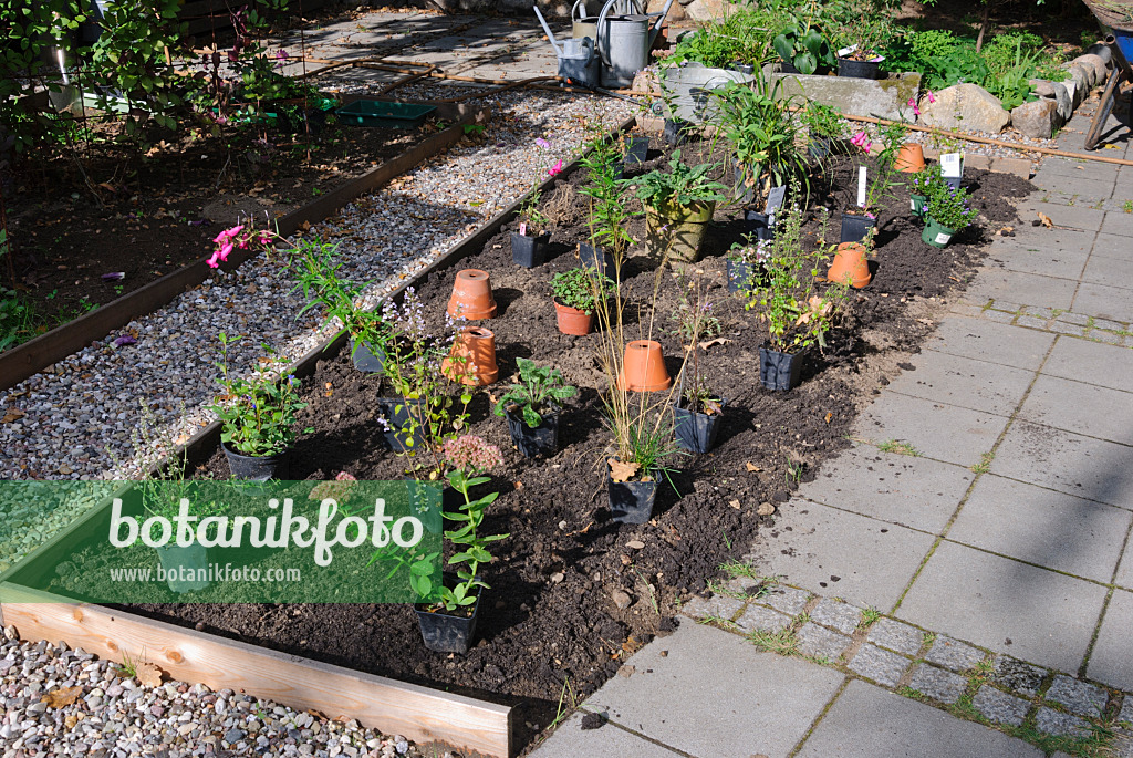 483046 - Pots laid out on the bed before planting