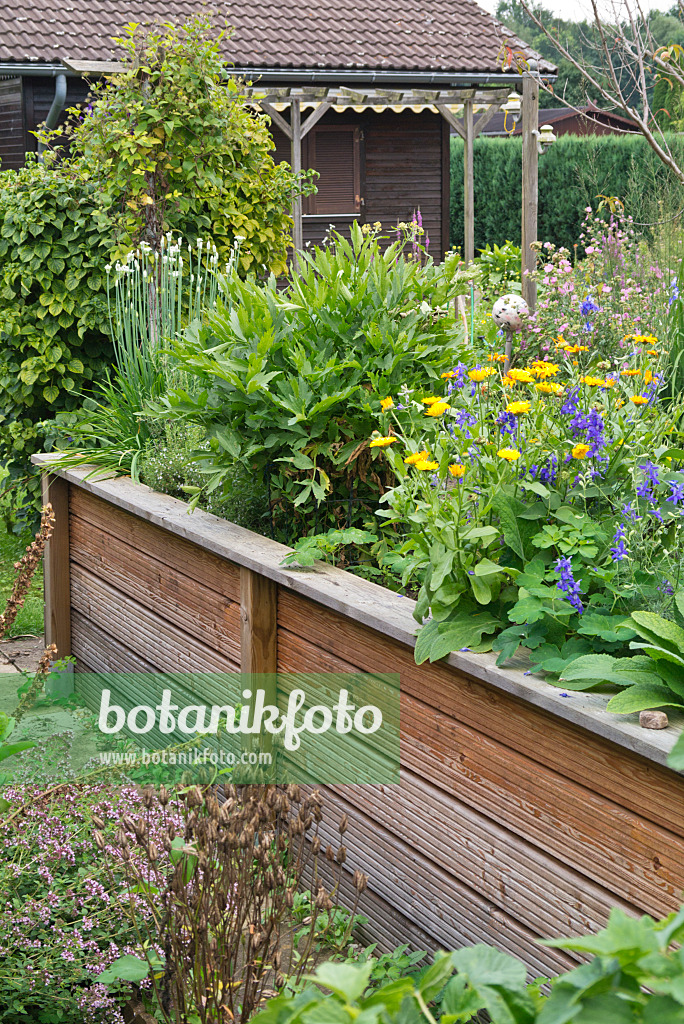 535007 - Raised bed in an allotment garden