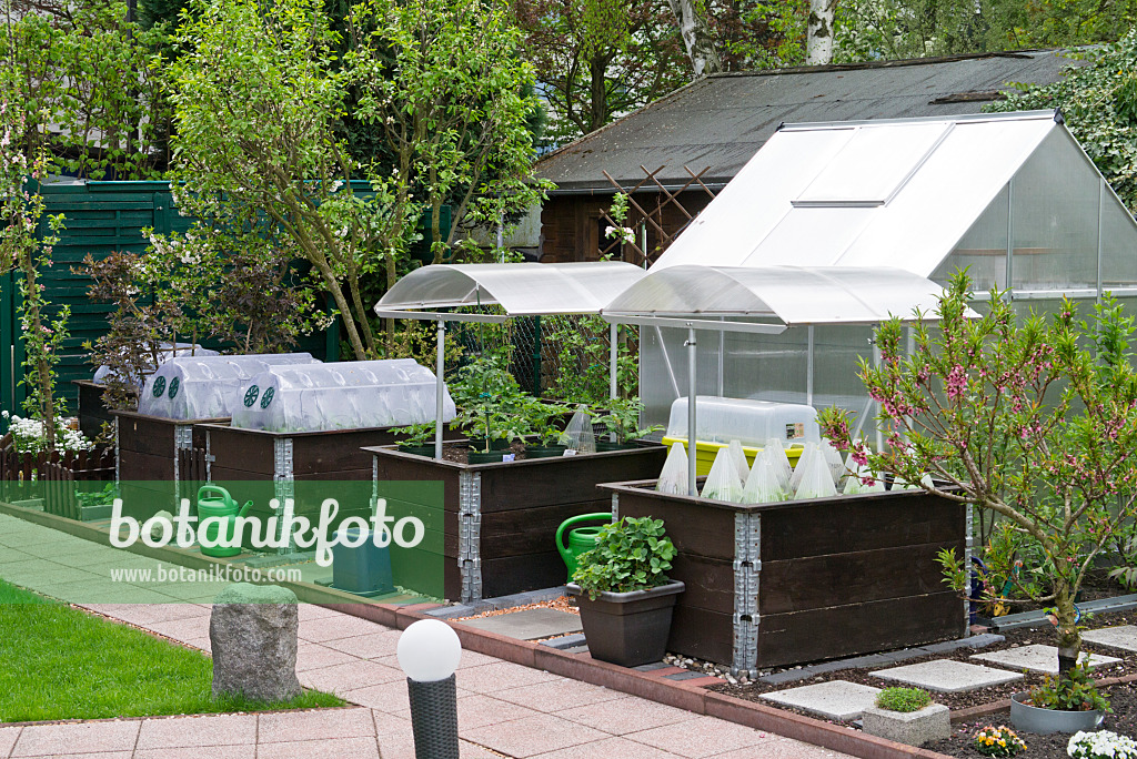 544054 - Raised beds, cold frames and greenhouse in an allotment garden