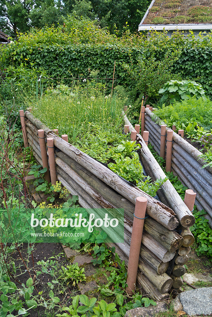 534245 - Raised beds in a natural garden