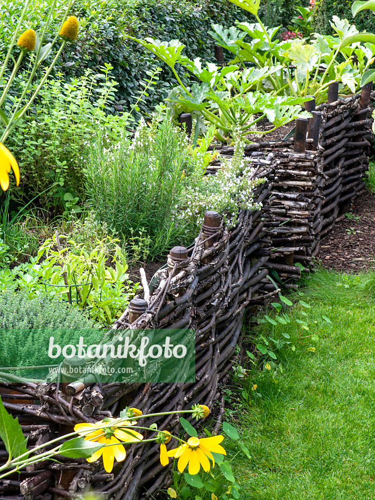 490009 - Raised beds in a vegetable garden