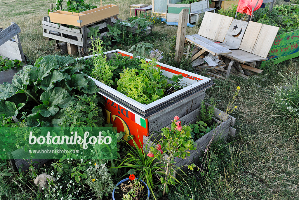 534131 - Raised beds of wooden slats and advertising signs in a community garden, Tempelhofer Freiheit, Berlin, Germany