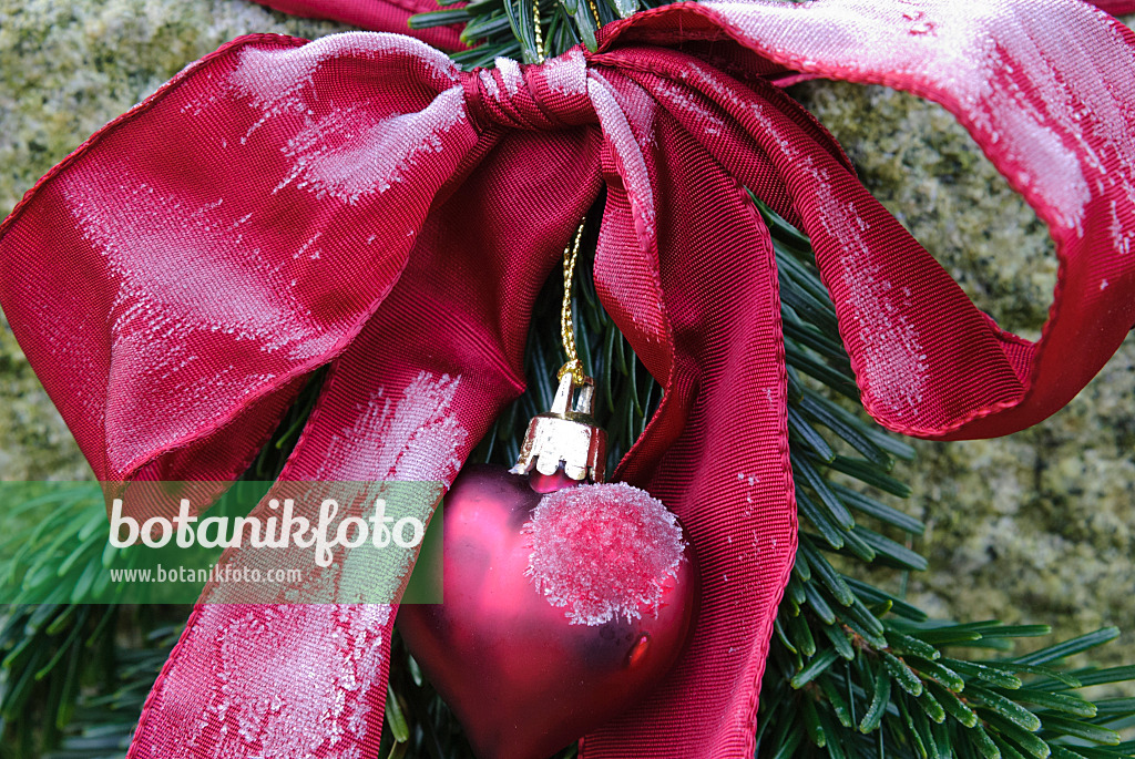 479047 - Red ribbon bow and heart on a fir branch with hoar frost