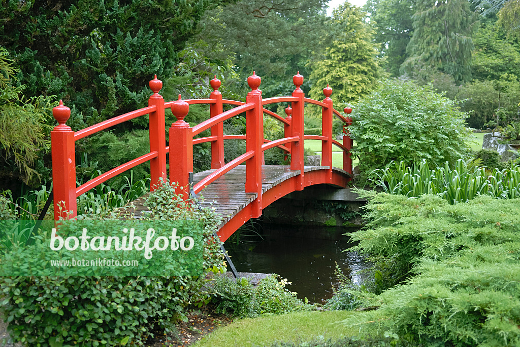 471365 - Red vaulted wooden bridge over a stream in a Japanese garden