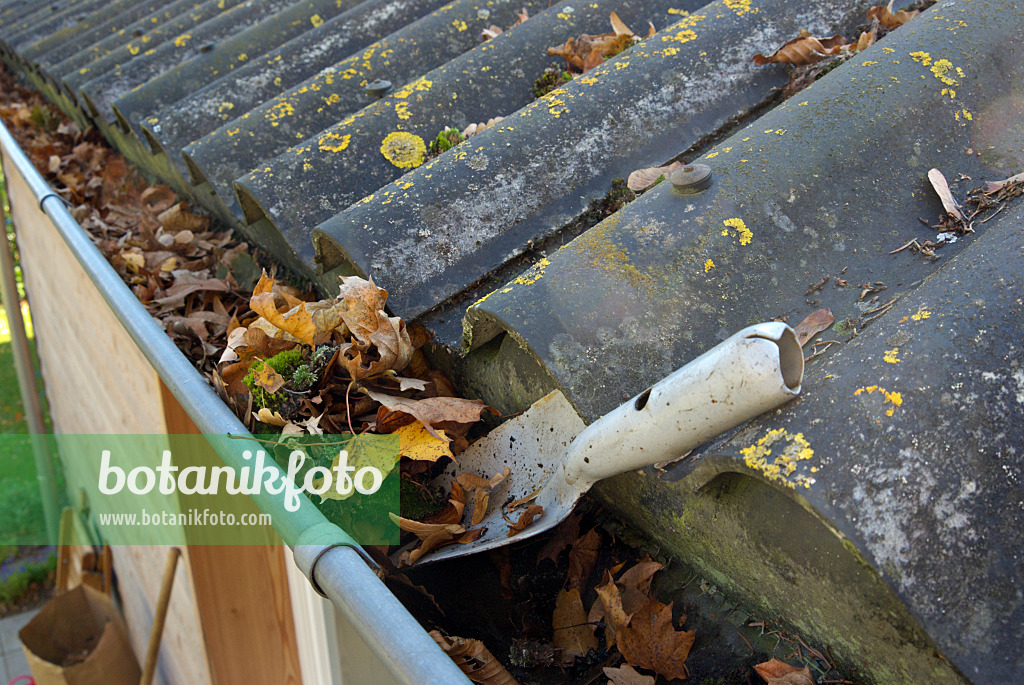 463086 - Roof gutter with leaves