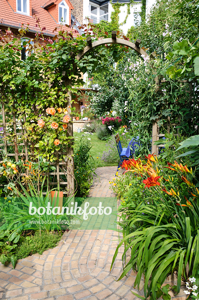 474335 - Roses (Rosa) and day lilies (Hemerocallis) in a backyard garden