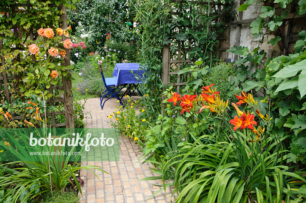 474367 - Roses (Rosa) and day lilies (Hemerocallis) in a backyard garden